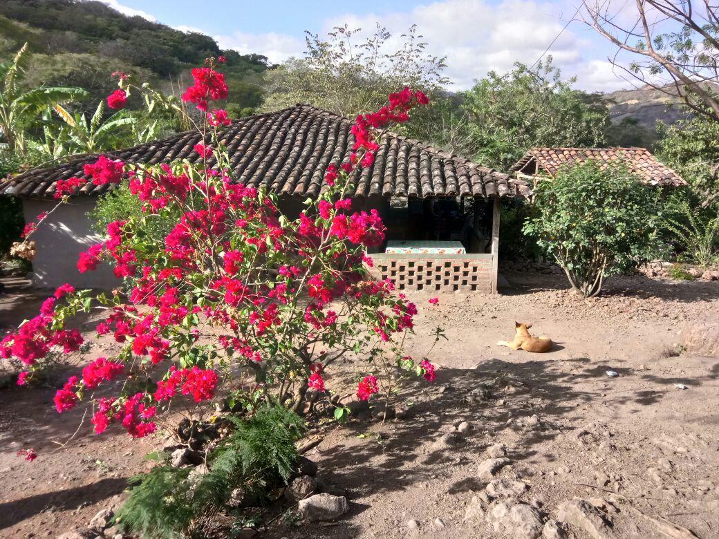 Gasthaus La Ceibita Tours Los Potrerillos Exterior foto